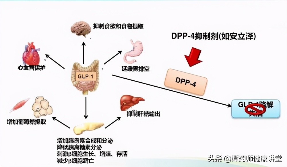 目前国家组织的5批药品集中采购目录—降价中标的糖尿病药物解析