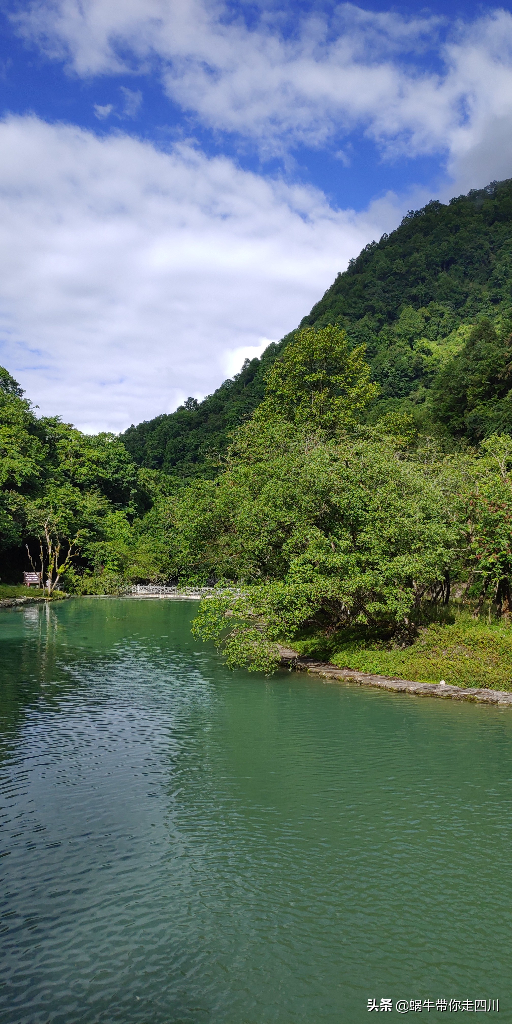 带小朋友出去看小动物,带小孩去海洋动物园