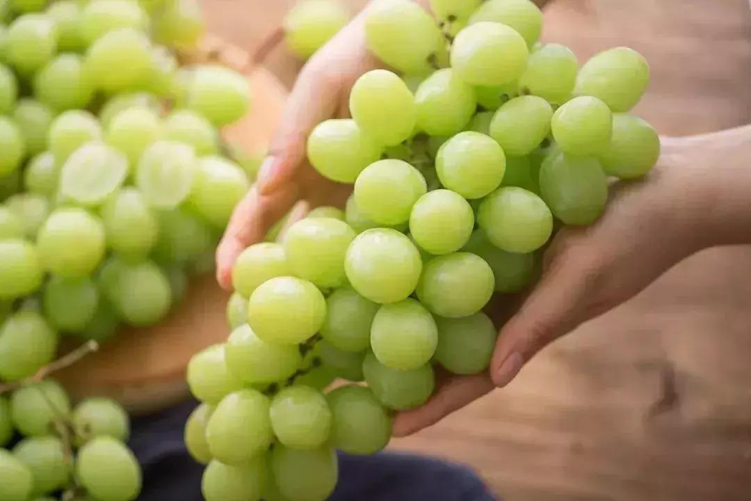 吃一口得花一个月工资？这种隐形炫富潮流值得追吗？