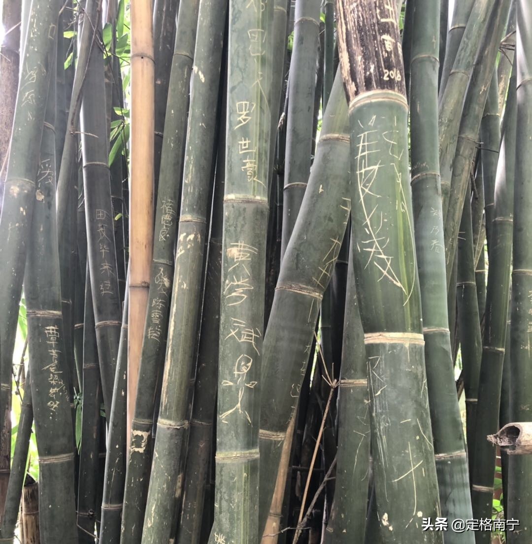 南宁狮山公园晚上开放时间,南宁狮山公园近期有什么玩