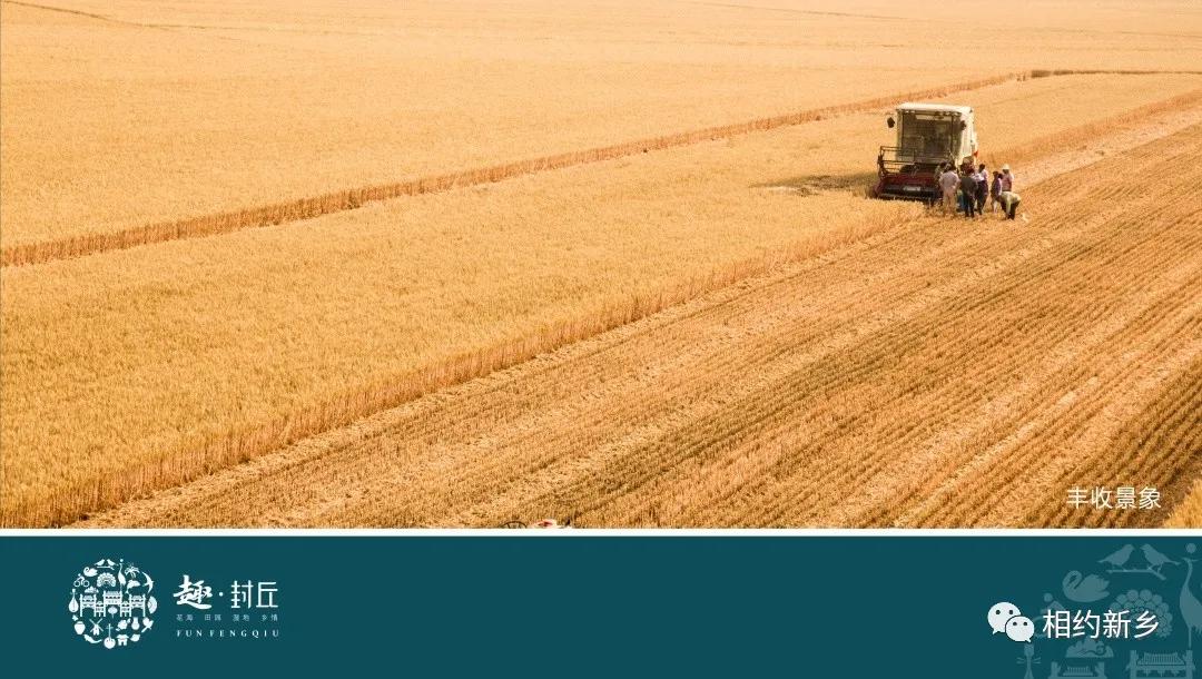 闻香识酒干红葡萄酒,闻香识艾草