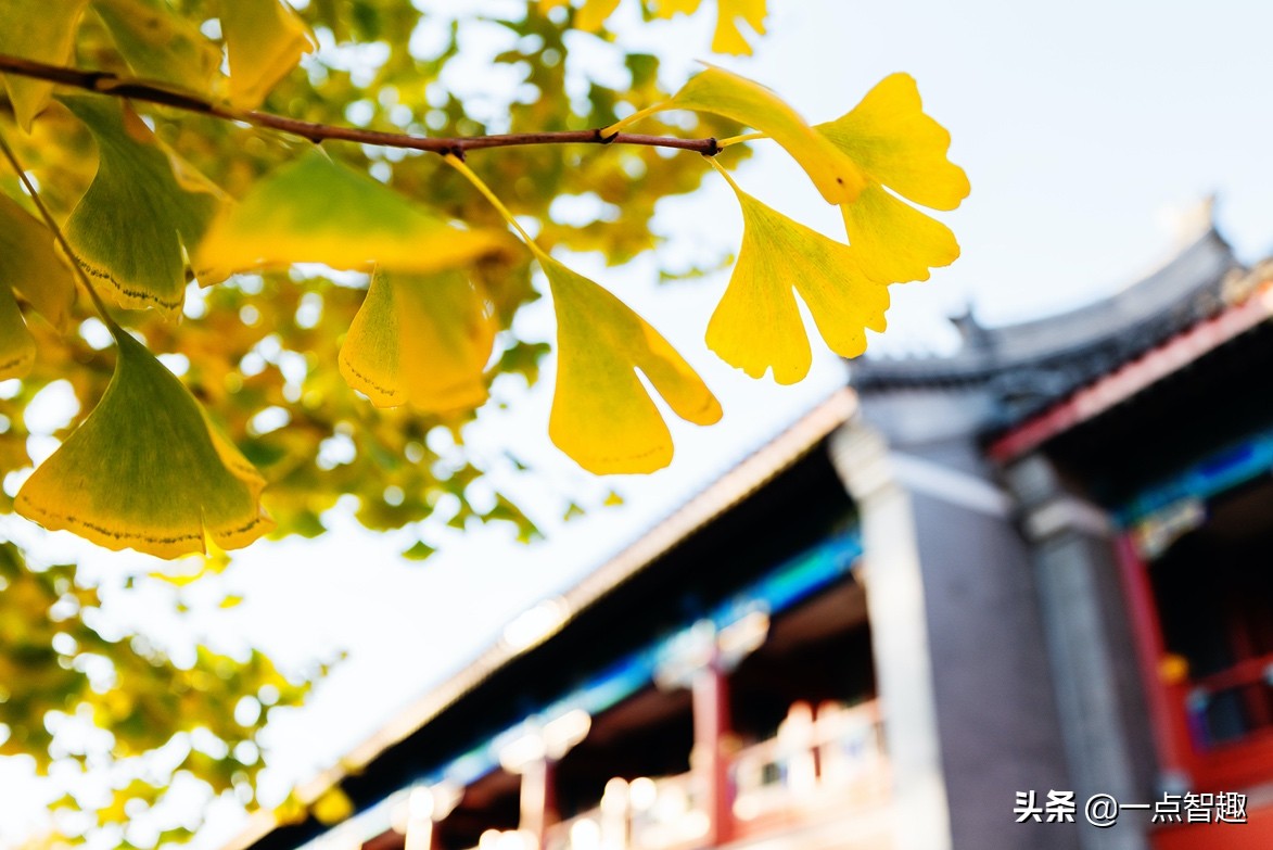 松下16-35f4,松下16-35f4和20-60镜头对比