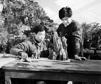 顺势而为道法自然,顺势而为的最高境界道法自然