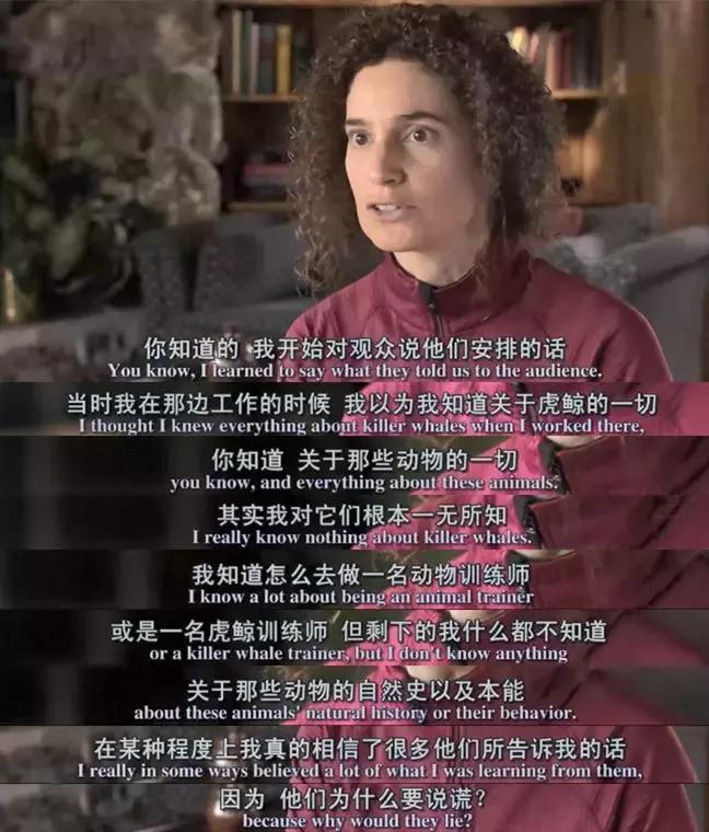 海洋馆的海洋动物表演,小孩子看的海洋动物视频