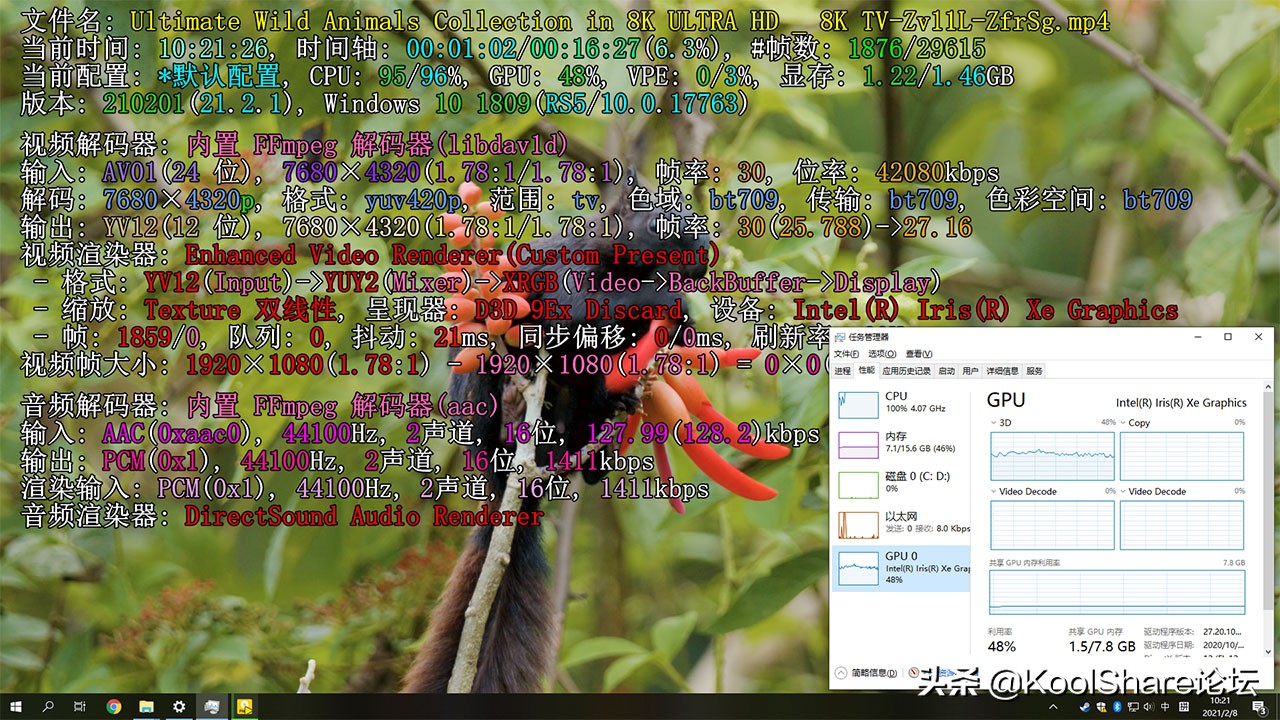 nuc11猎豹峡谷青春版评测,猎豹峡谷nuc深度评测