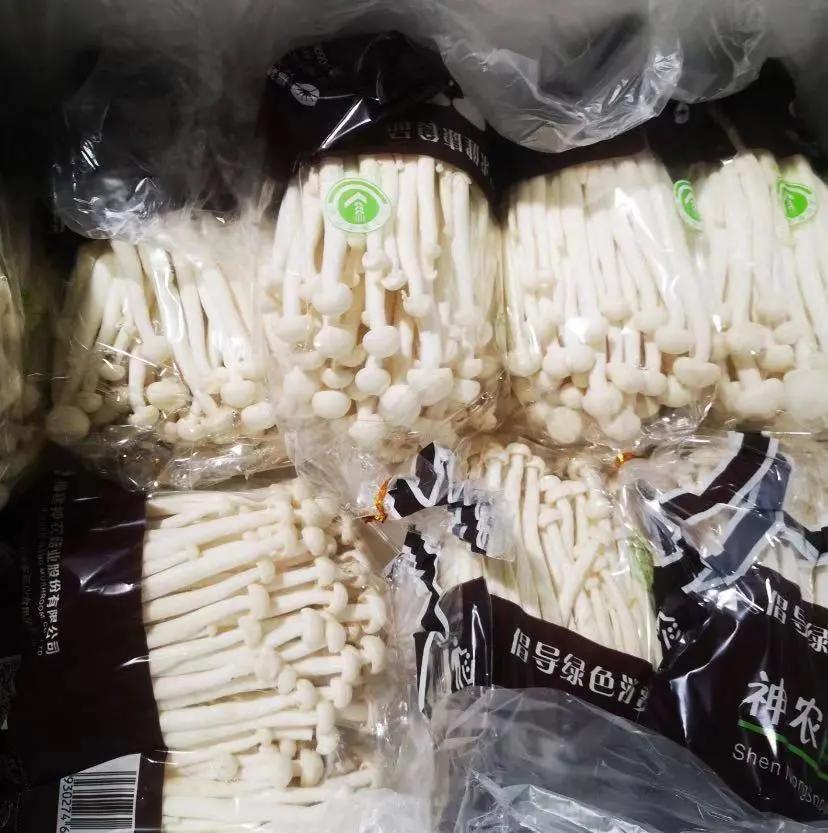 良橙橘日最忆顺昌！主播喊你吃橘子啦