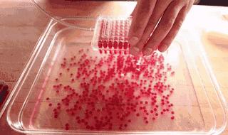 曼谷米其林分子料理,米其林分子料理凉菜