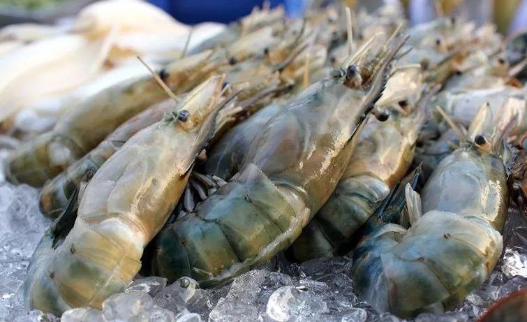 冰鲜虾和活虾的区别,买冰鲜虾应该怎么挑选