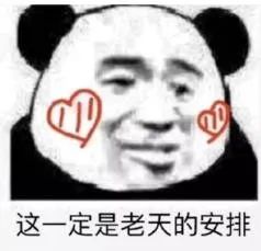 丑猫大赛视频完整版,2020年丑猫大赛看看丑到你了没