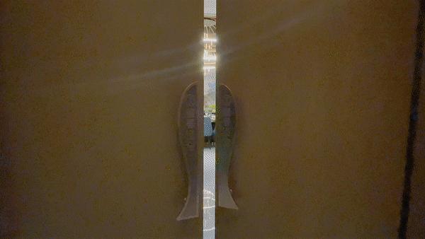 驶入厚街的「海鲜巨舰」,秋日鲜味来袭