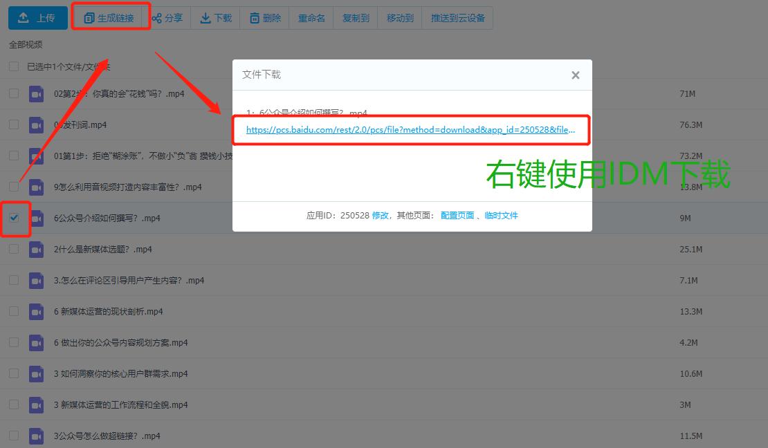 idm怎么添加到360浏览器,360浏览器怎么用idm插件