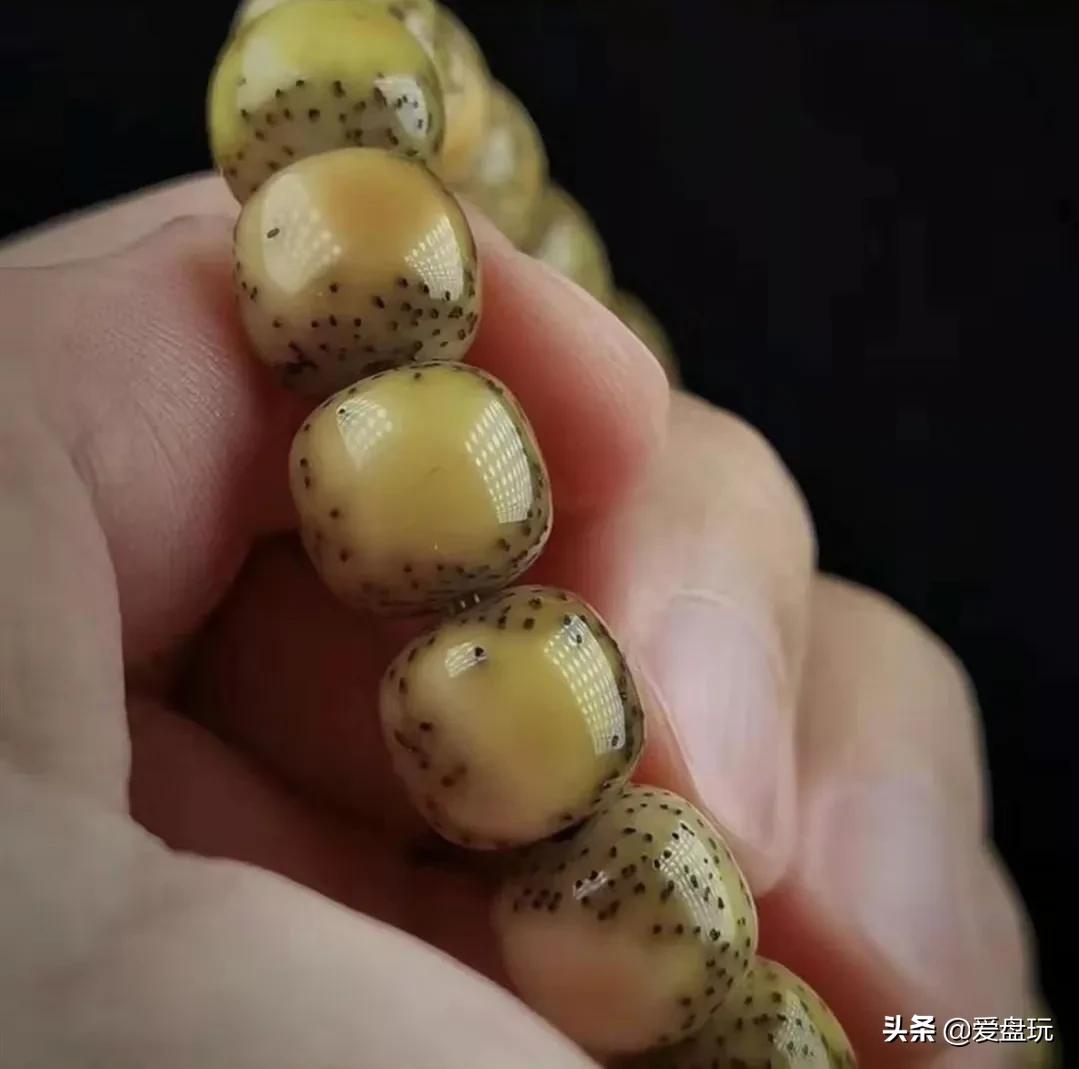 卖星月菩提高价违法么,5000块的星月菩提