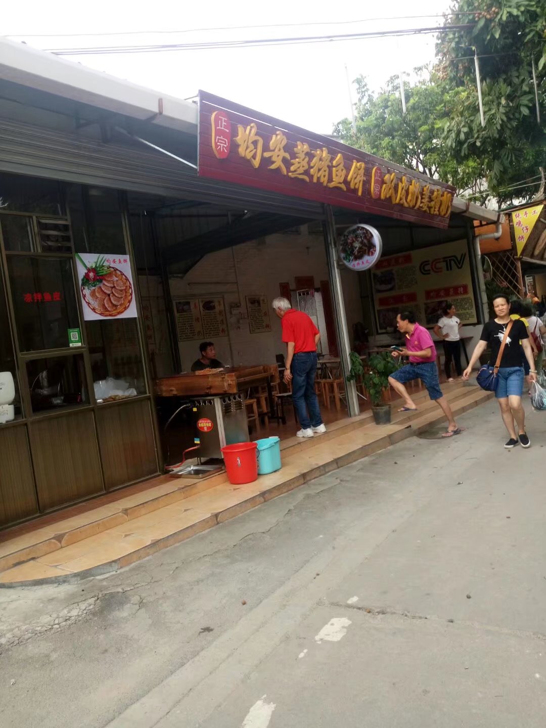 顺德杏坛逢简水乡地址,顺德杏坛逢简水乡简介