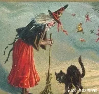 猫咪的迷惑行为历史版,可爱的猫咪黑历史