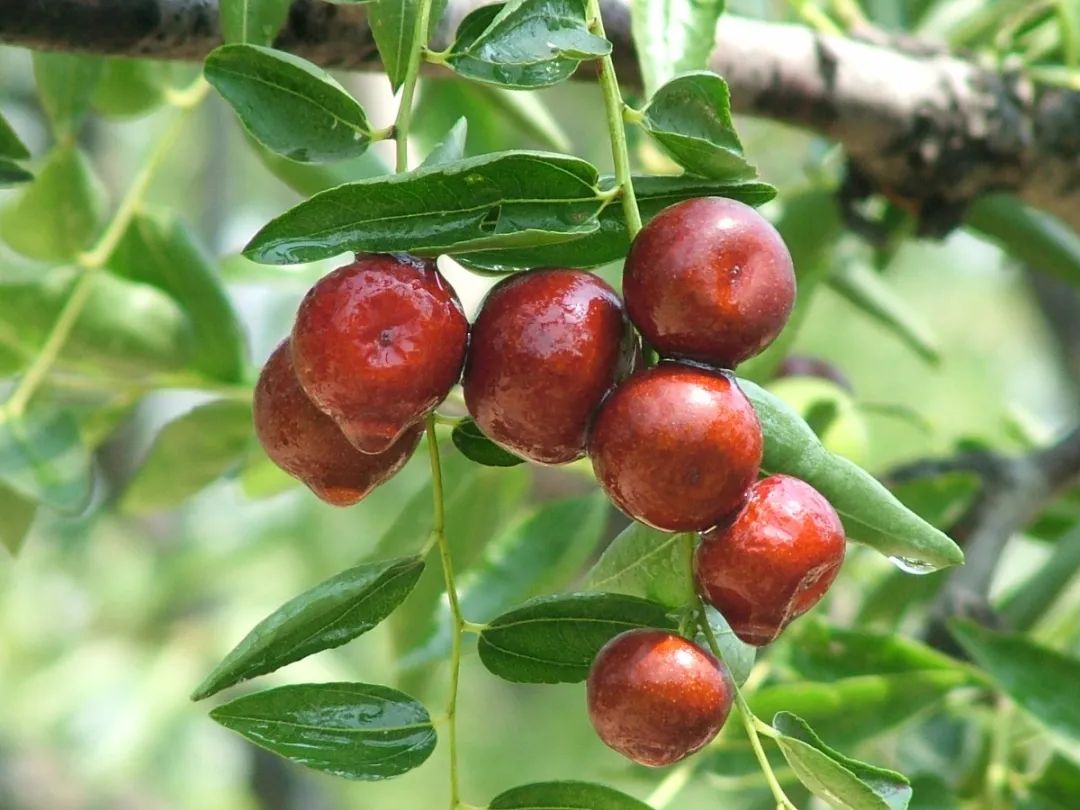 当水浒遇到西游记会怎么样,当水浒传遇上红楼梦