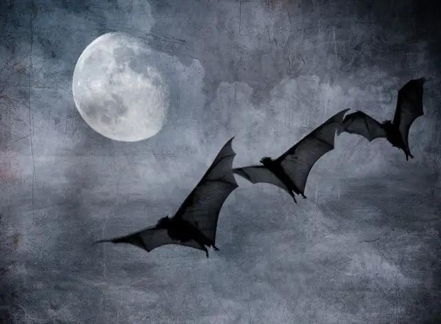 必看的十部顶级恐怖小说,五本令人窒息的经典恐怖小说推荐