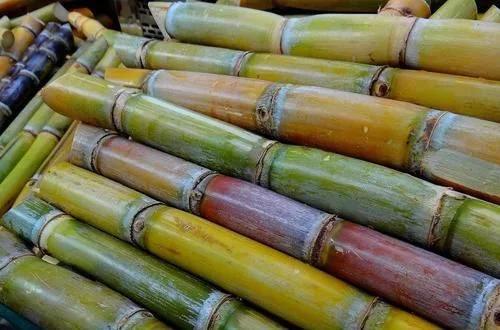 舌头上火最怕三种水果,最伤嘴巴的3种水果