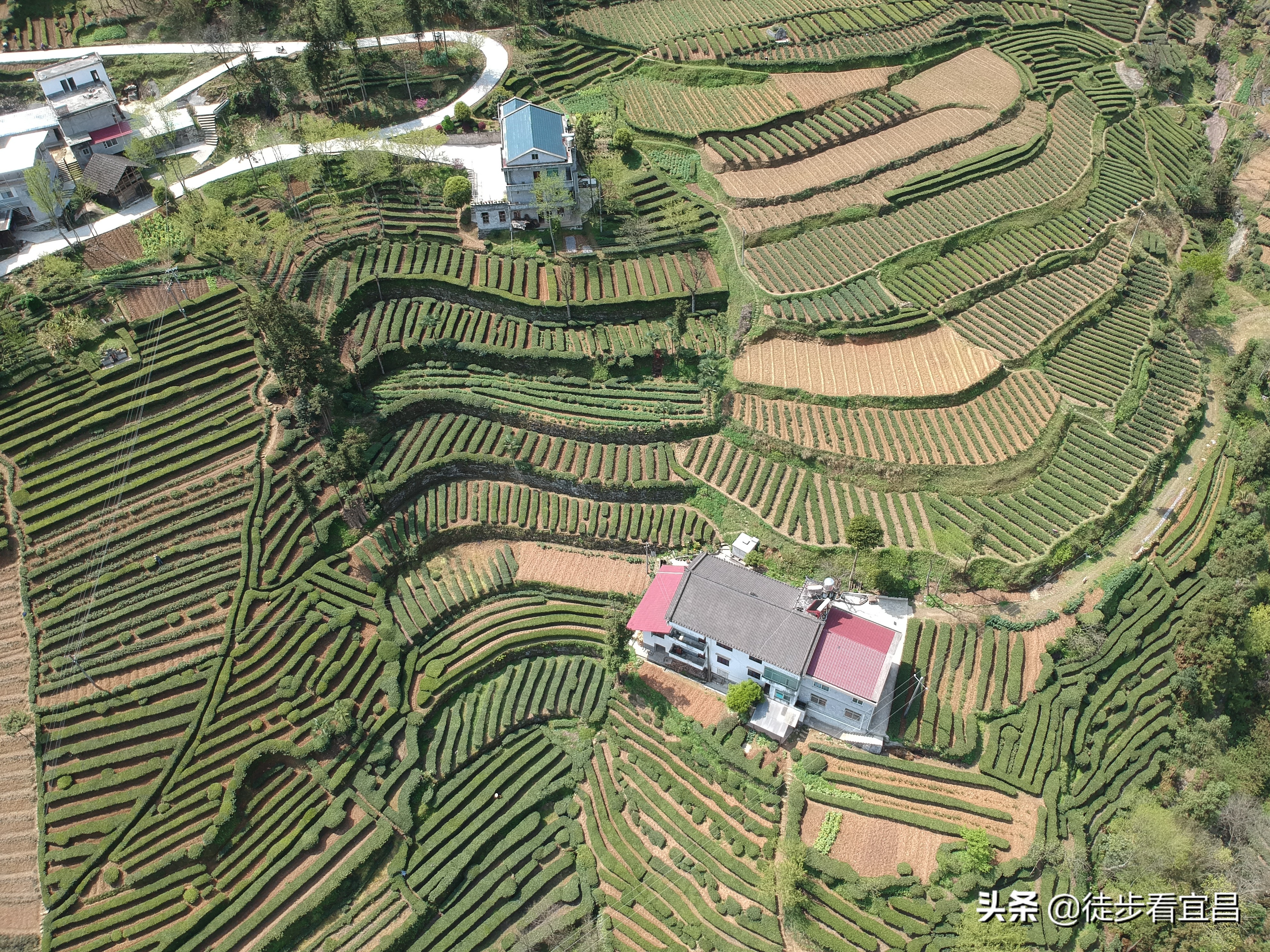 宜昌五峰风景真实照片,五峰茶山航拍