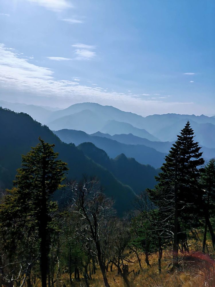 20201101惊悚之行~首阳山大坪梁单日横穿+原返