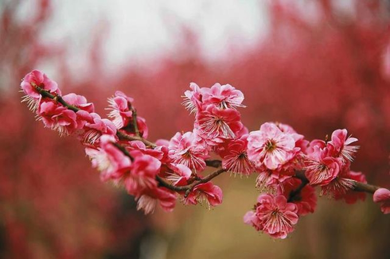 3月20日 新闻中的渭南事(组图)