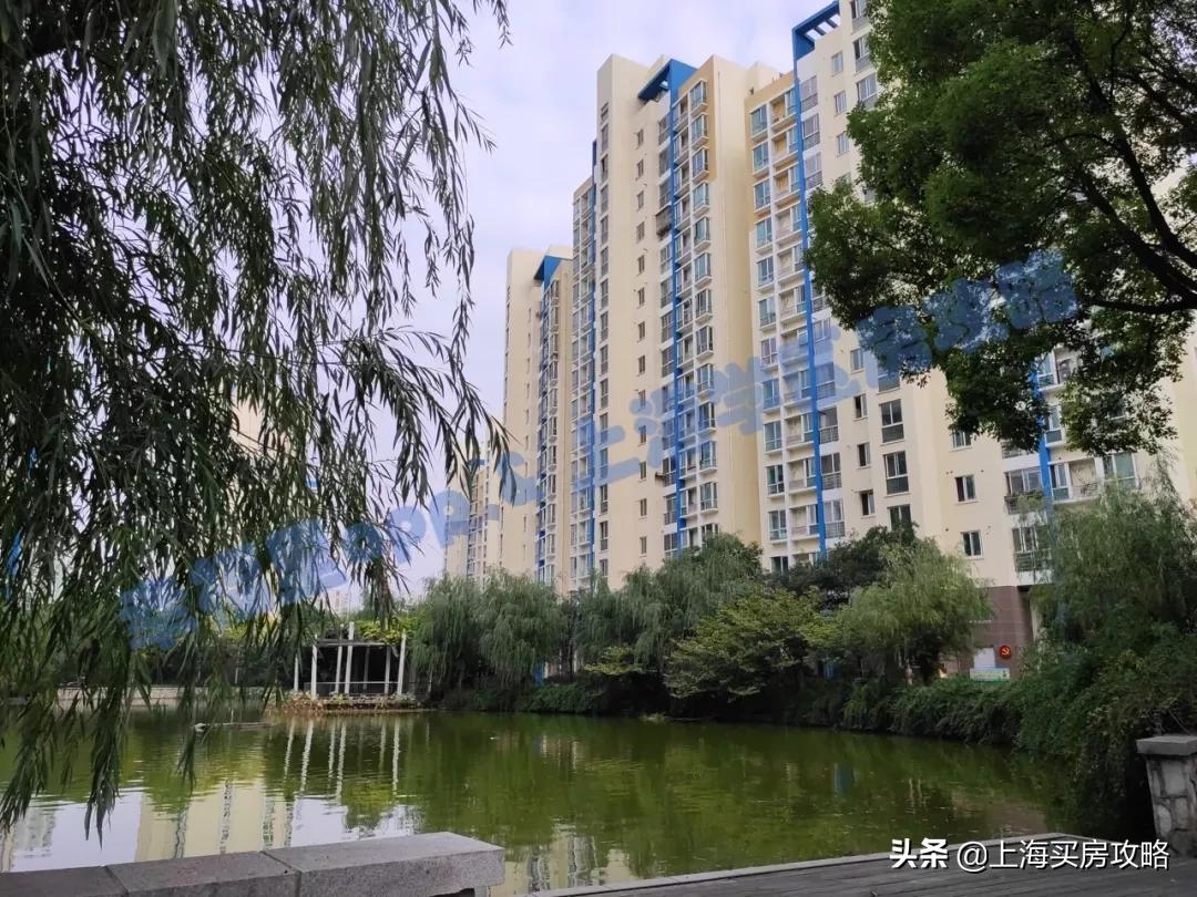 闵行区平南小学怎么样,中环双学区房多少钱