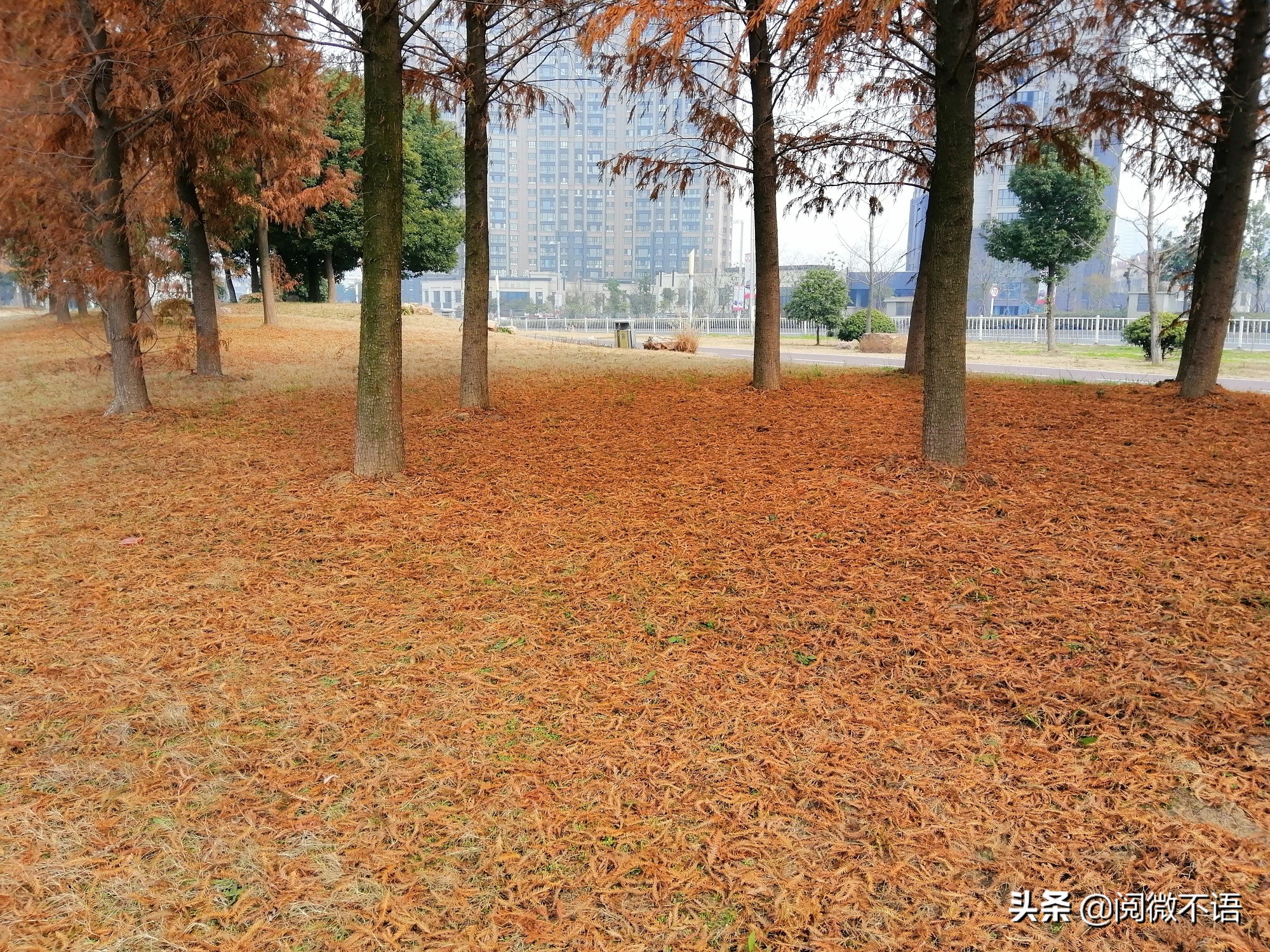 菩萨蛮冬晚遣怀,菩萨蛮冬思