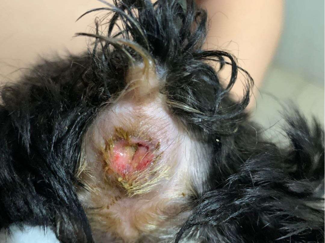 有苦难言的肛门问题，作为家长你了解吗