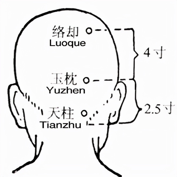 头疼不能晃动是怎么回事,头顶按压时头疼怎么回事