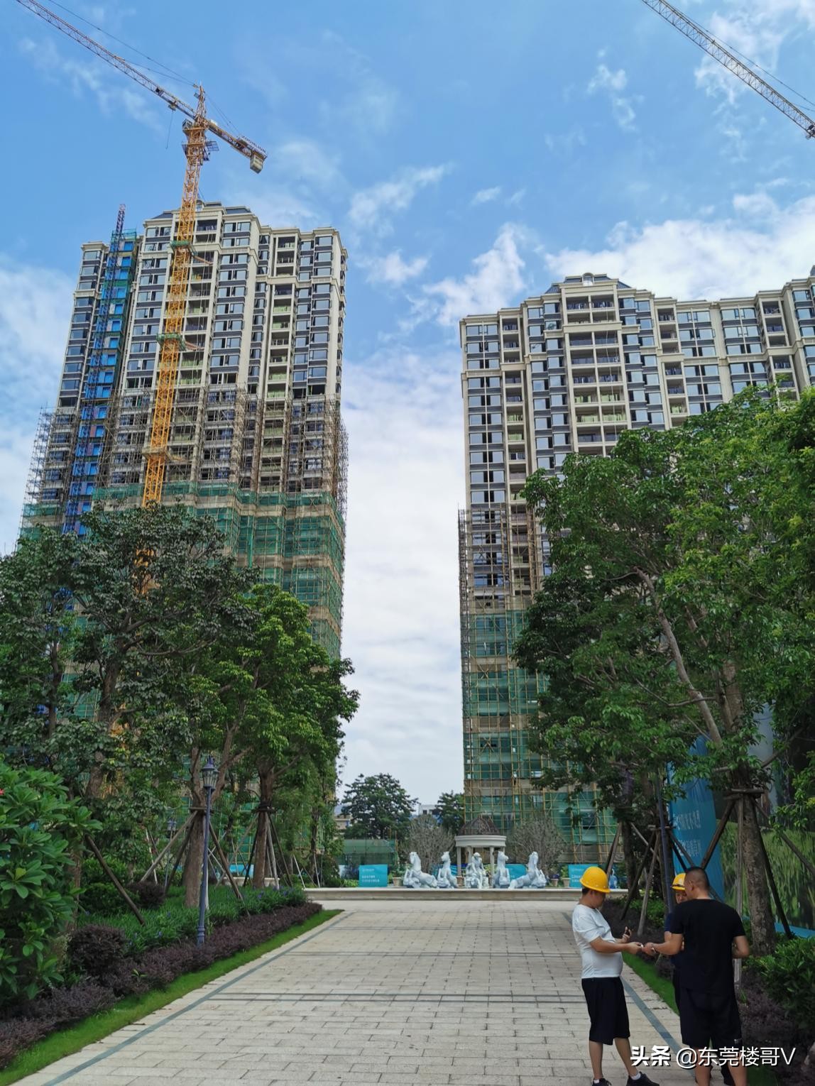 涓床閲岀▼鑺卞洯鐭崇ⅲ涓轰粈涔堝崟浠蜂綆,妤煎摜