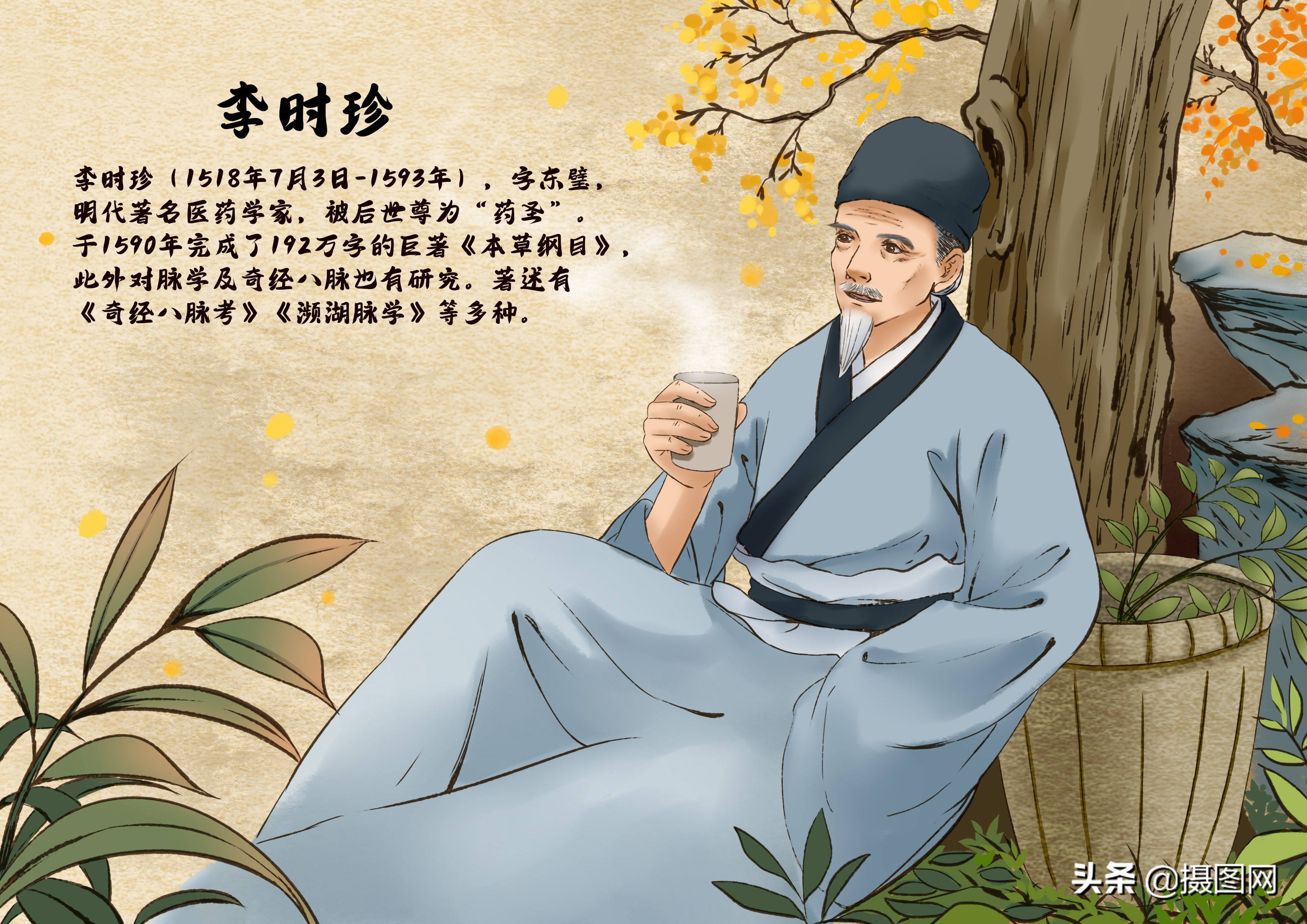 中医十种绝美插画,中医小插图