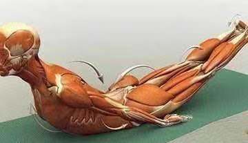 腰椎间盘突出针灸能治彻底吗,腰椎间盘突出针灸治疗能彻底吗