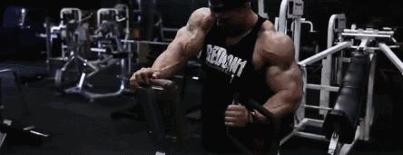 类固醇肌肉发展,类固醇可以促进肌肉生长吗