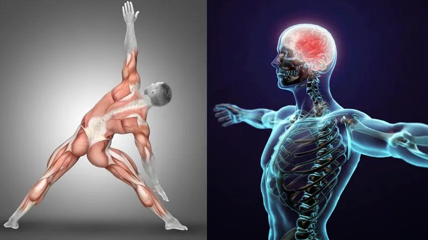 你还在做这些错误的拉伸吗,日常拉伸了解一下