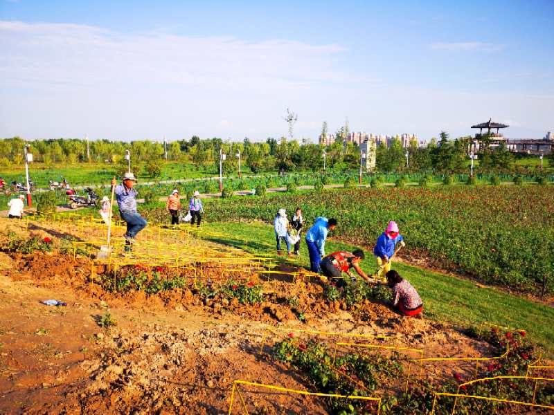 蜈蚣梁村还有这么一位特殊特别的“厅级干部”