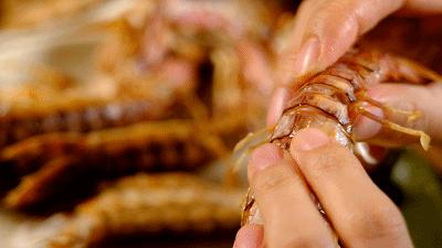 北京海鲜自助梭子蟹,海鲜自助的活梭子蟹