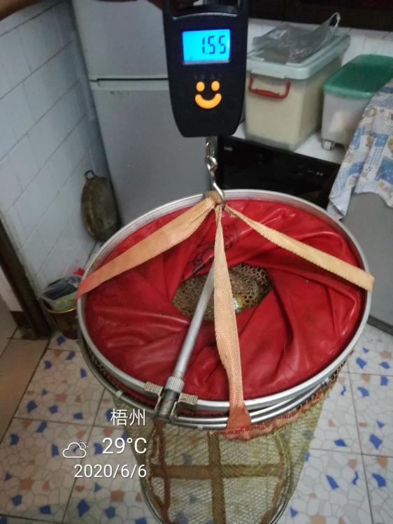 本汀太极黑棍7.2,本汀太极黑棍测试