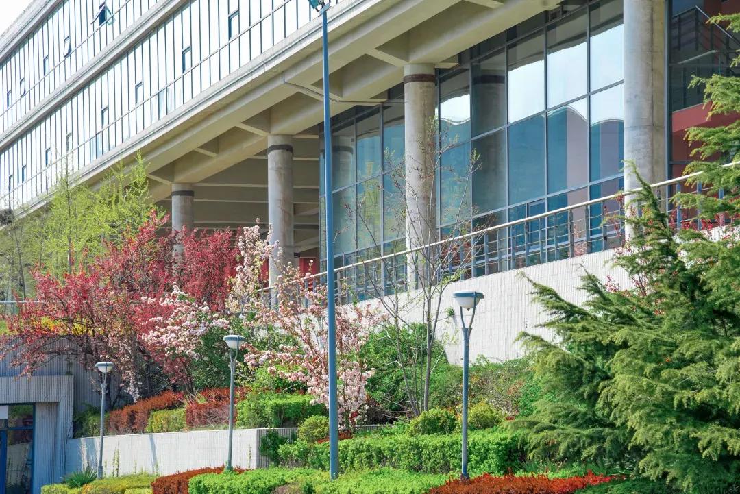 辽宁大学和鲁迅美术学院,辽宁省鲁迅美术学院是985吗