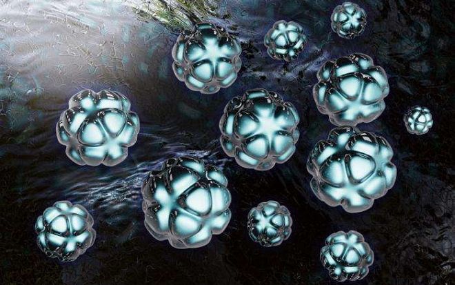 蜜蜂蜇蜜蜂会怎样,蜜蜂会蜇蜜蜂吗