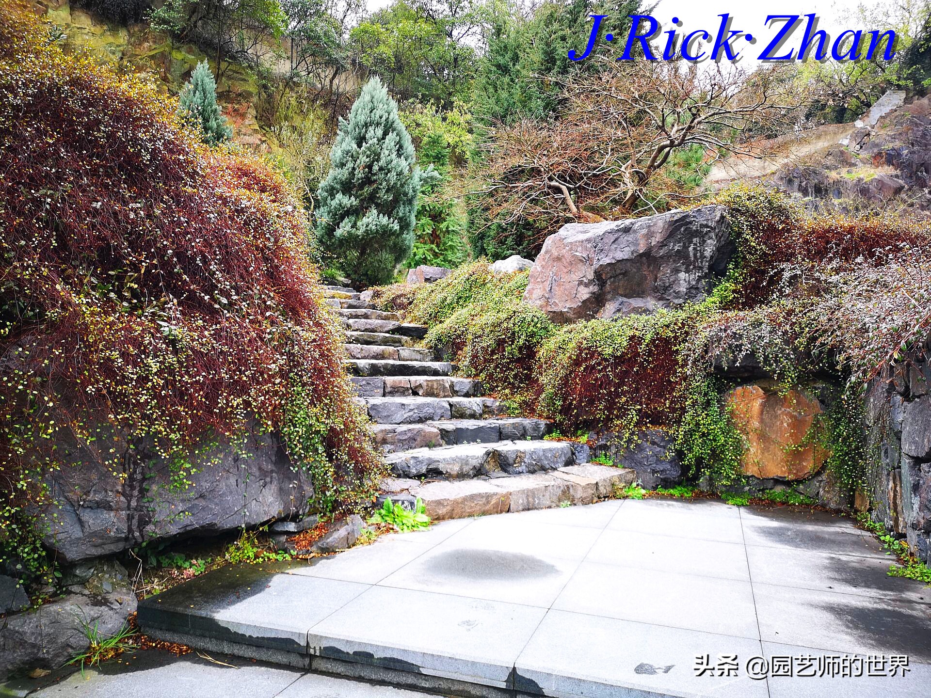 园艺研学报告,园艺园林研学