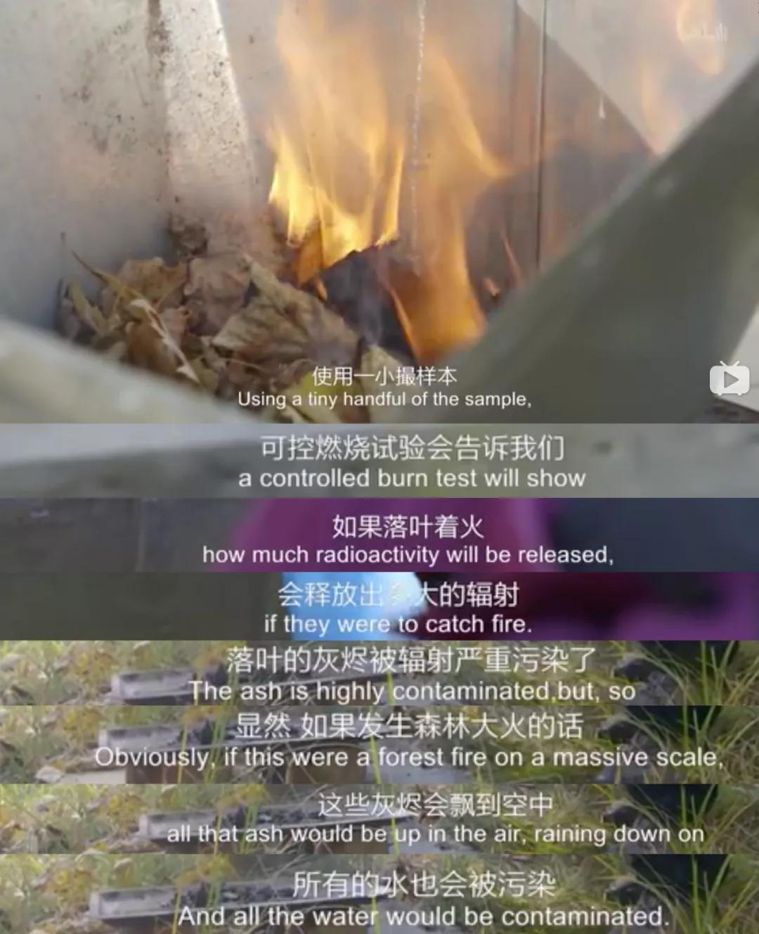 切尔诺贝利爆发山火,消防员为何不敢去救火?