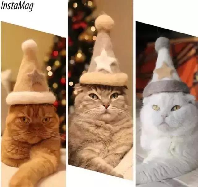 变废为宝绵羊毛衣,变废为宝旧毛衣