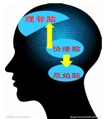 催眠疗愈心理创伤,《心理治疗》催眠