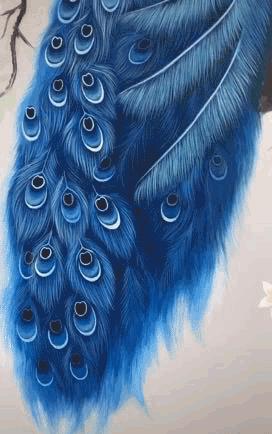 刮腻子走红网络的女孩,95后刮腻子女孩账号