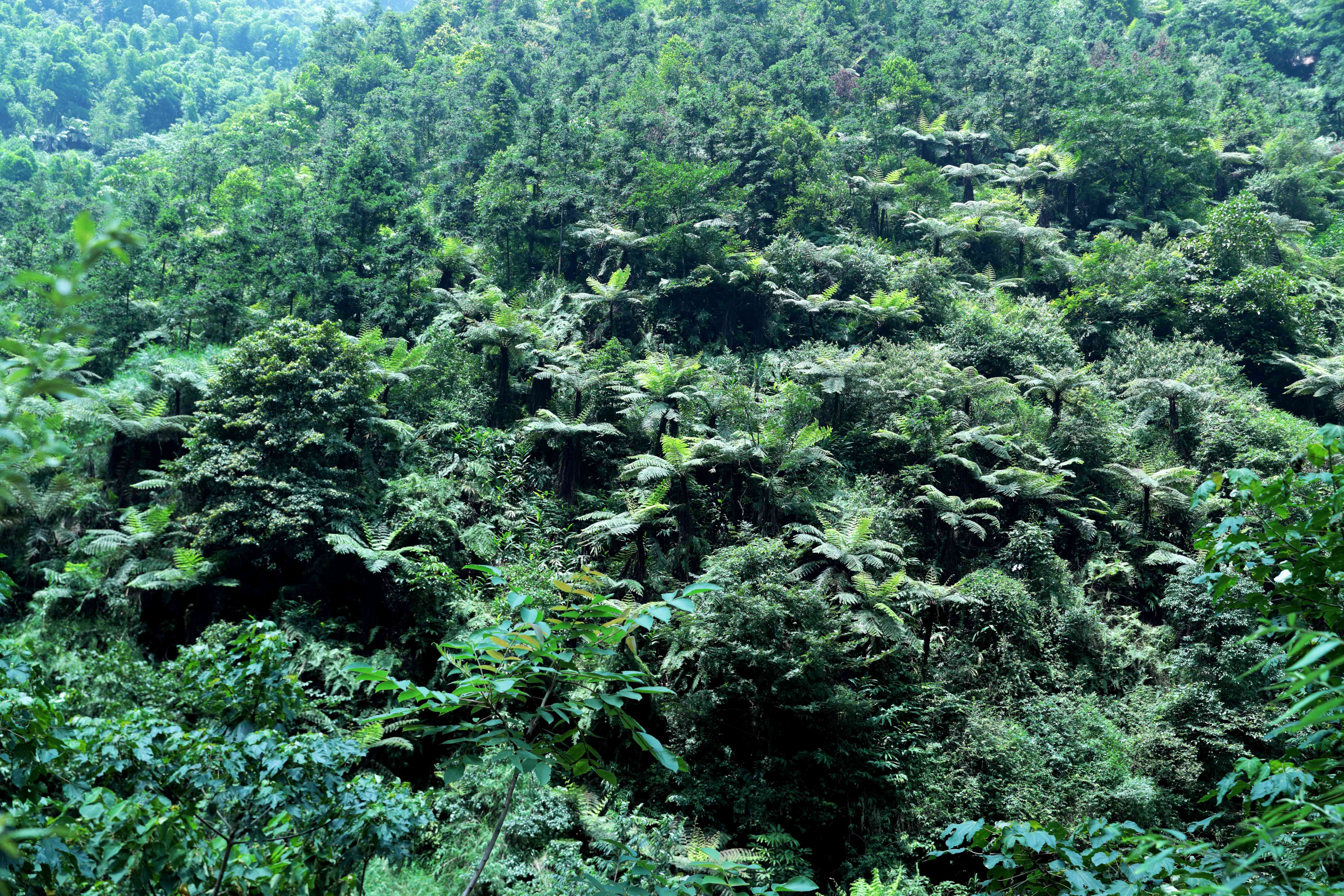 星级临海酒店,高星级悬崖酒店