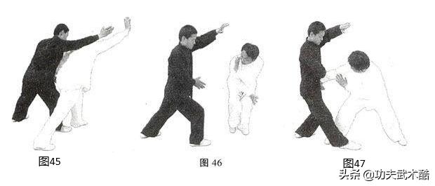 八卦掌散手十八式绕树打法,八卦掌散手技法应用