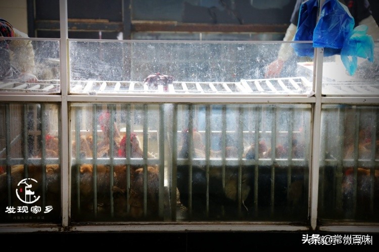 四季更迭时光流转又是新的一年,四季变迁春去秋来