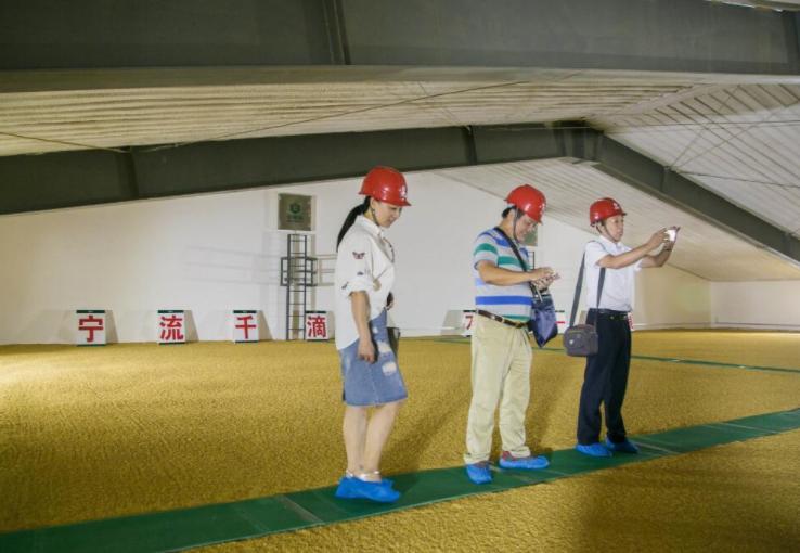 中储粮招聘2024社会招聘条件,中储粮和公务员哪个好