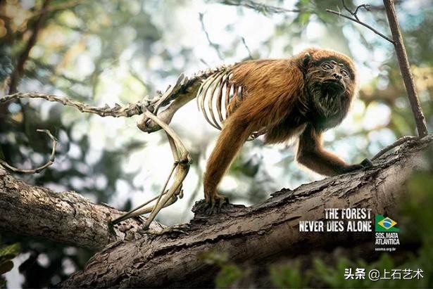 淘宝美工平面设计思路分析,淘宝美工设计方向