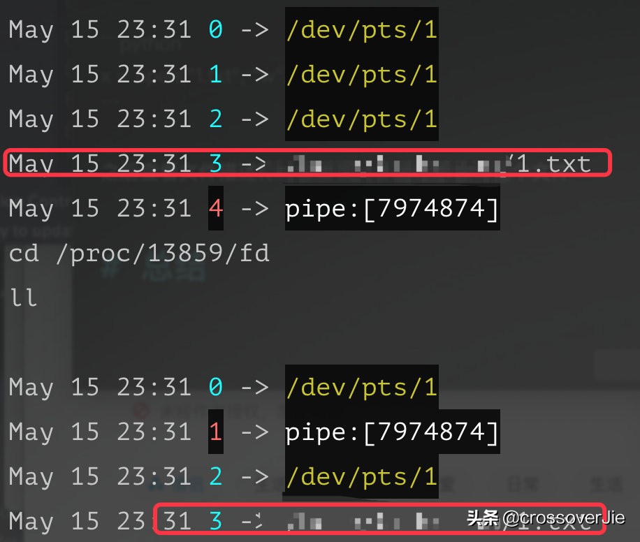 为什么写print会报错,print函数写对了却显示错误