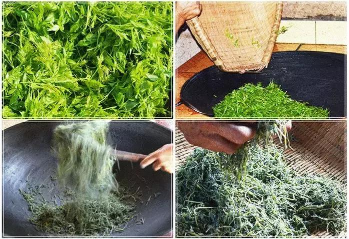 湖南张家界莓茶真的那么好吗,张家界莓茶简单介绍